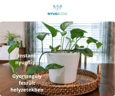 Instant nyugi tipp: