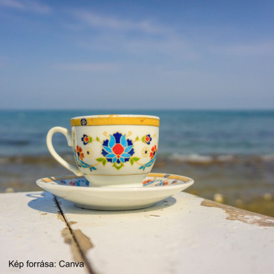 Semmittevés a gyakorlatban