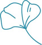 Nyugizóna a médiában