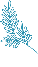 Tudományos munkáink