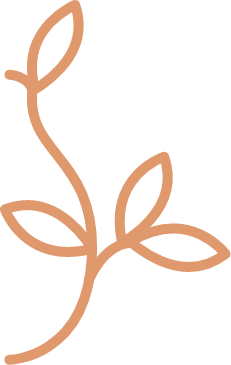 Vezetői life coaching